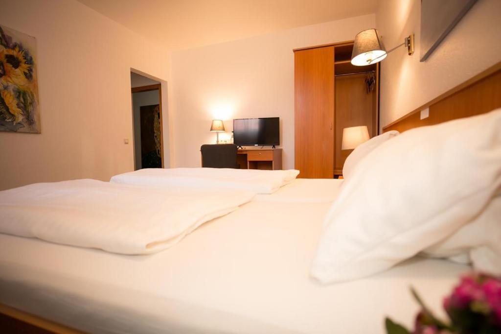 Hotel Weisse Muehle Breitenworbis المظهر الخارجي الصورة