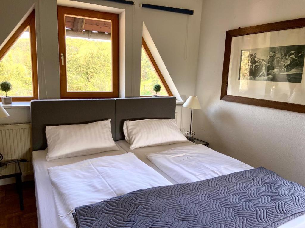 Hotel Weisse Muehle Breitenworbis المظهر الخارجي الصورة